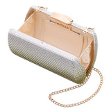 LEWIS-GOLD OMBRE MINAUDIERE